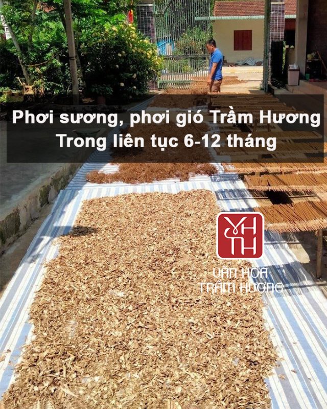Quy trình ủ nguyên liệu cổ xưa