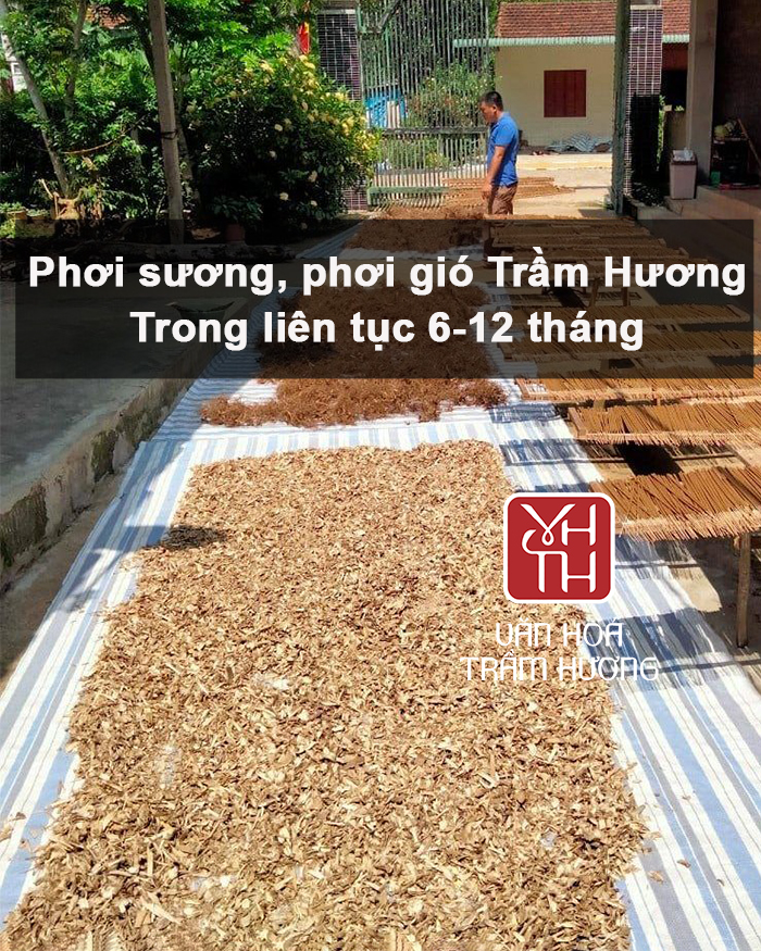 Quy trình ủ nguyên liệu cổ xưa