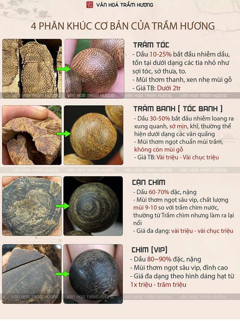 tram-toc-banh-trong-phan-loai-tram-huong