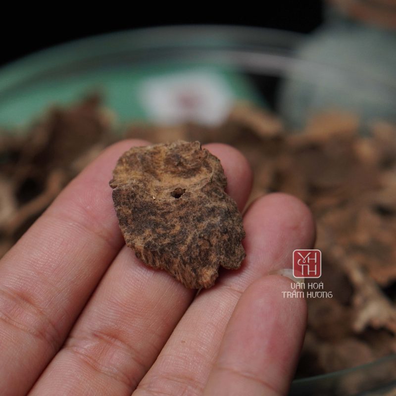 Trầm miếng chân sam loại nhiều dầu là sản phẩm cao cấp Trầm miếng chân sam loại nhiều dầu là sản phẩm cao cấp