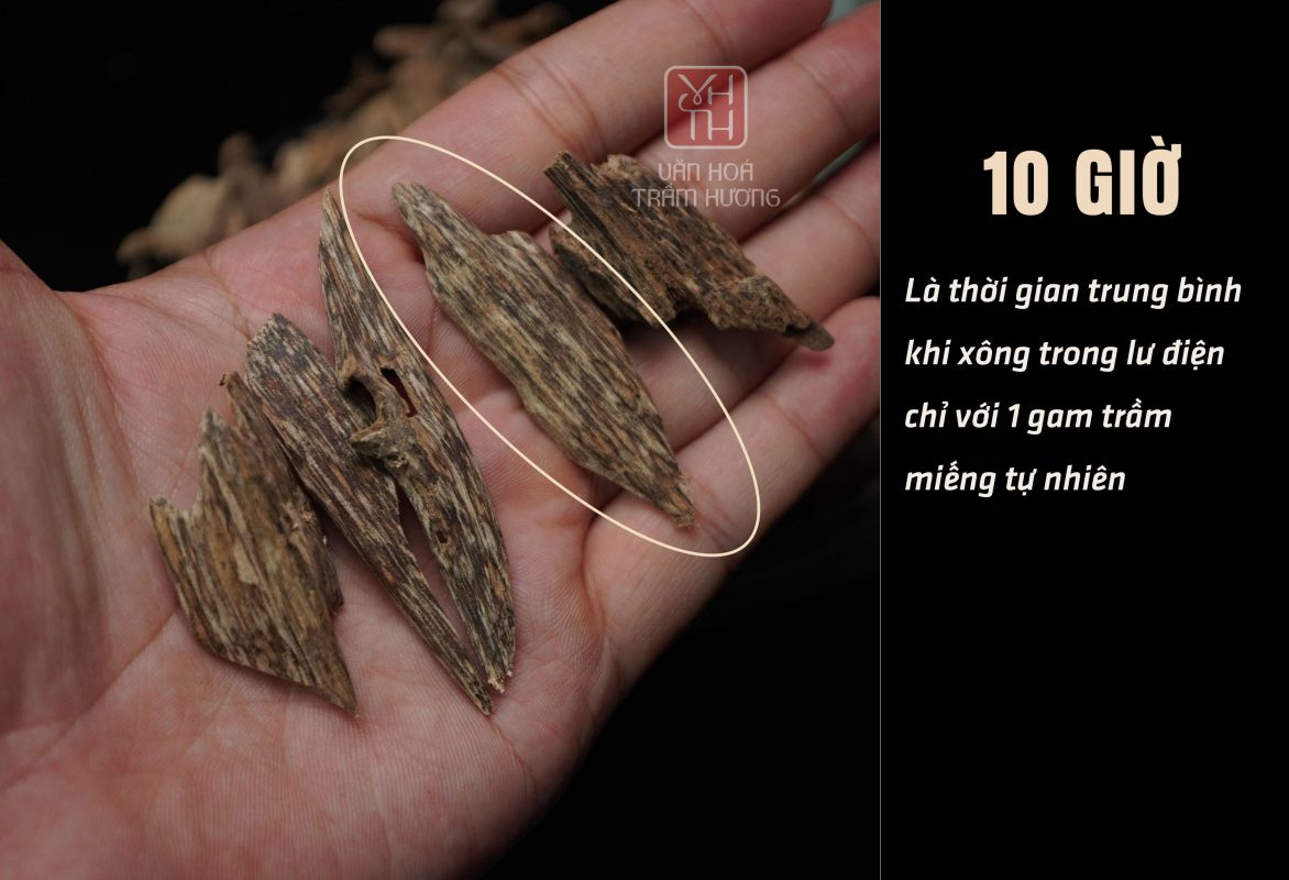 Khi xông đốt, trầm kiến cao cấp tỏa hương ngọt sâu, thanh đậm