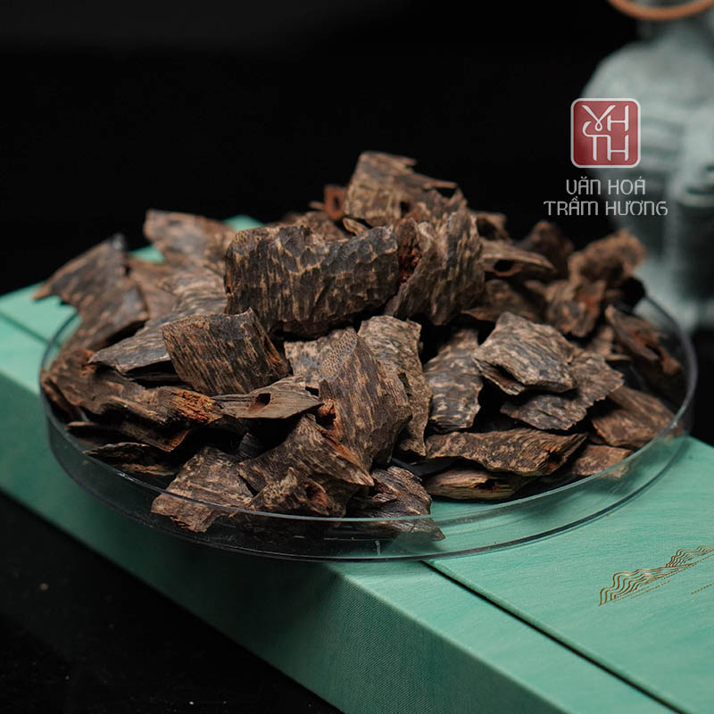 Văn Hóa Trầm Hương cung cấp trầm chính gốc từ rừng Việt Nam