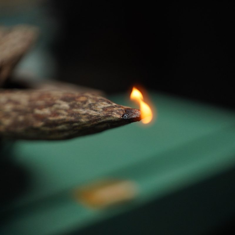 Văn Hóa Trầm Hương cung cấp trầm chính gốc từ rừng Việt Nam