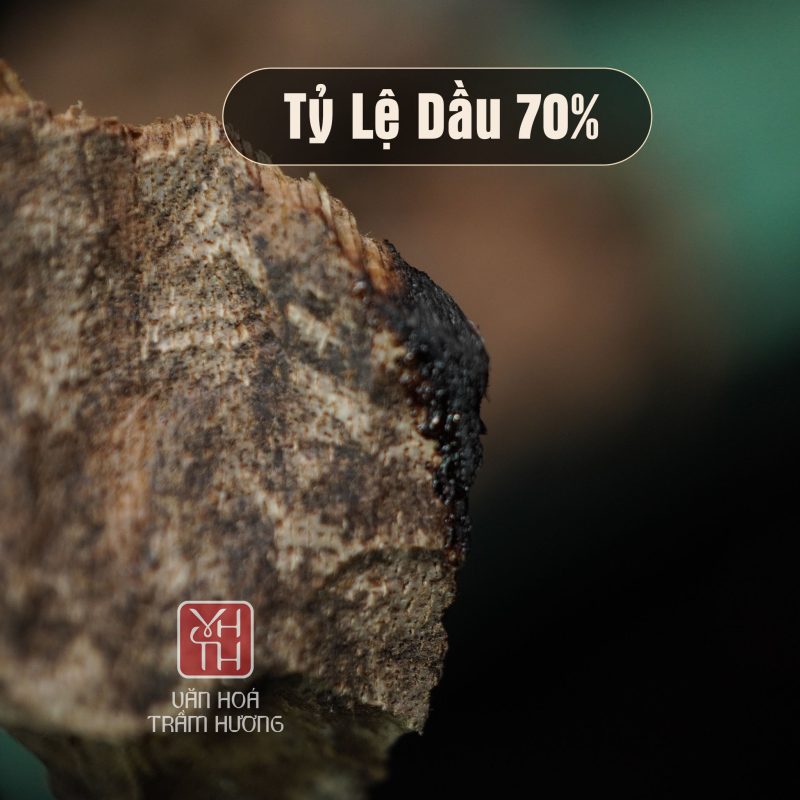 Trầm miếng Sam Chai tại Văn Hoá Trầm Hương có chất lượng cao