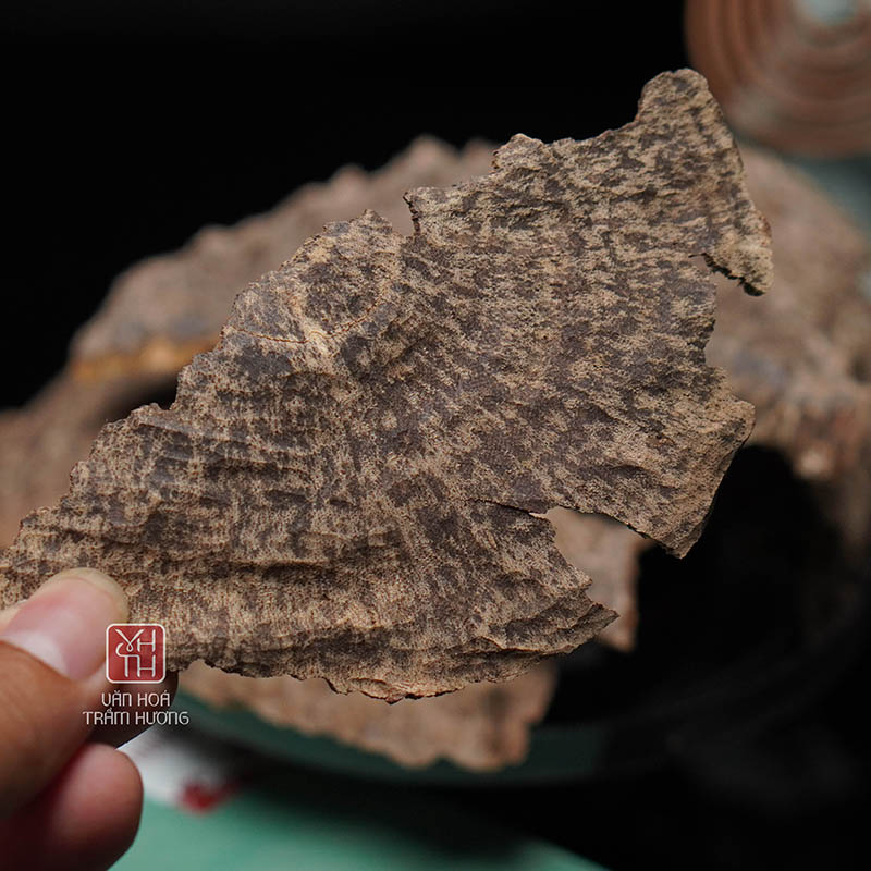 Trầm hương Quảng Nam