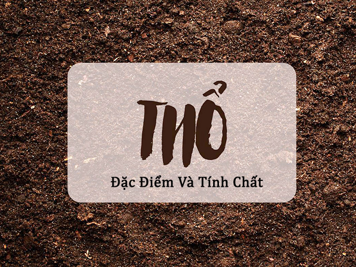 Hành thổ (Đất) Hành thổ (Đất)