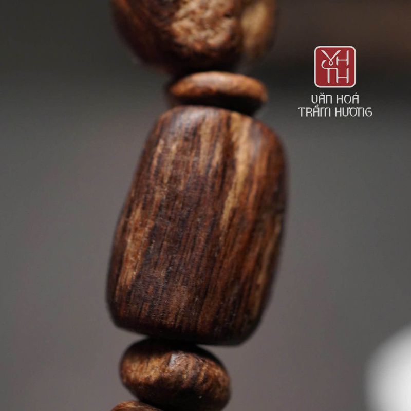 Giới thiệu về trầm mắt tử