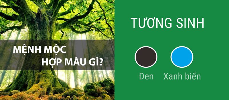 Mệnh Mộc hợp màu gì?