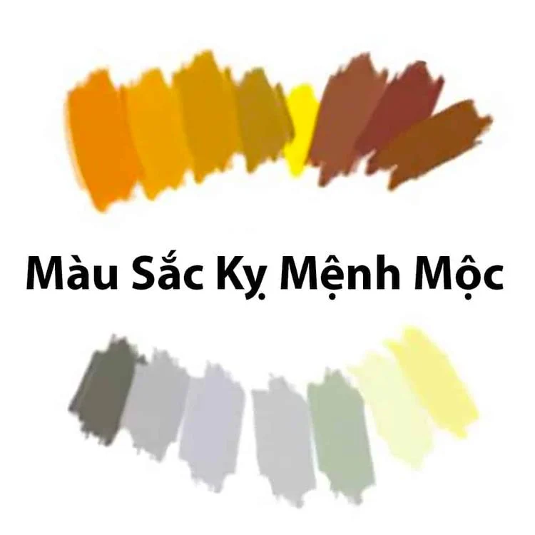 Màu sắc người mệnh Mộc nên tránh